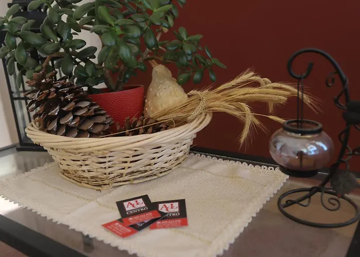 住宿加早餐酒店 Resedencial Centro 3*